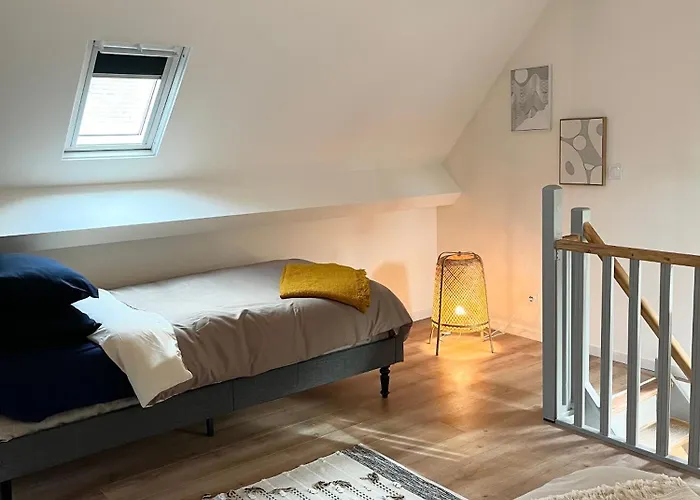 Sunshine 丰特夫罗拉拜